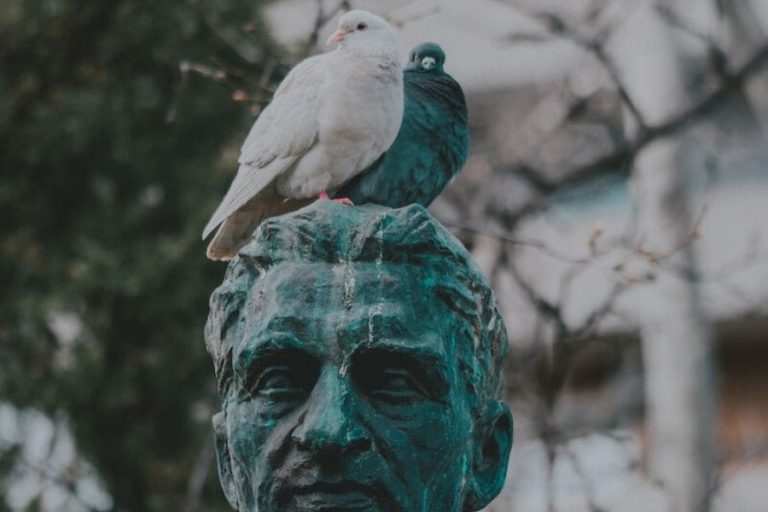 What Does It Mean When A Bird Poops On You? (Good Luck)?