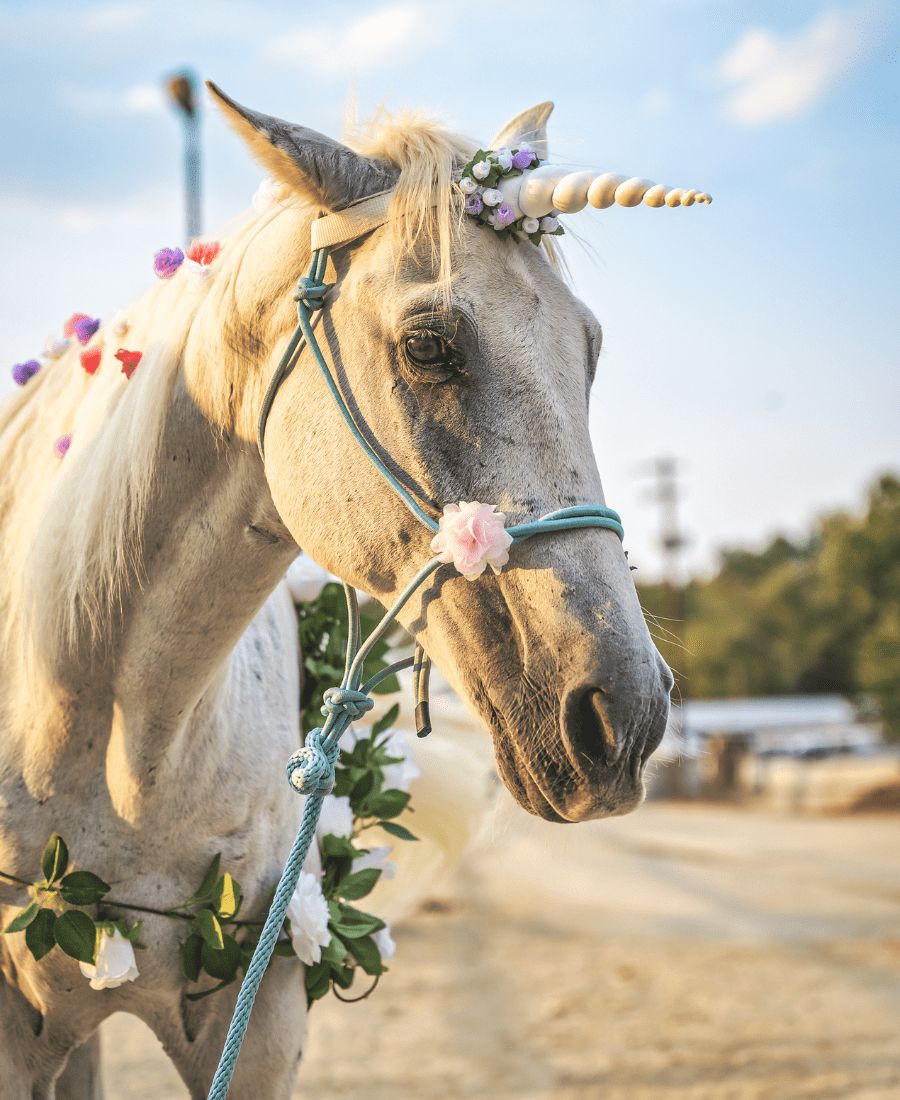 Spiritual Meaning of Unicorn 7 Reasons to Love Them More