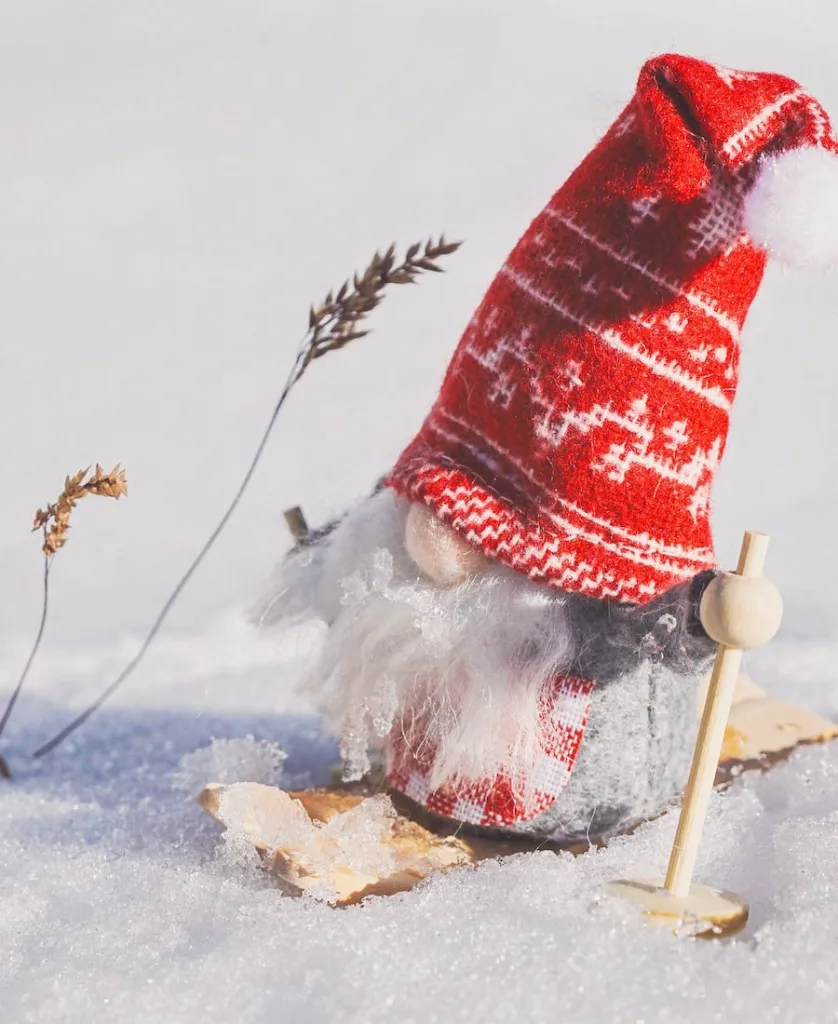 Garden Gnome on the snow