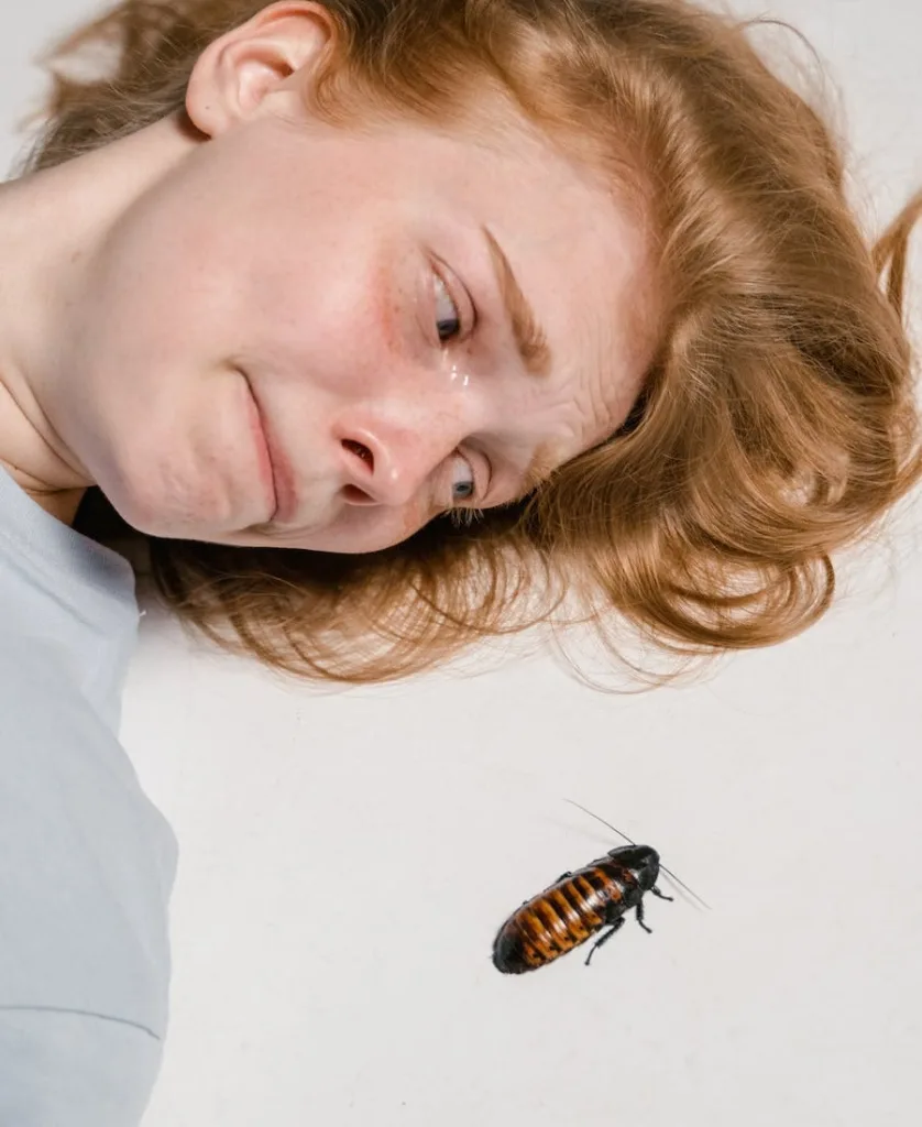 Spiritual Meanings Of A Cockroach Crawling On You